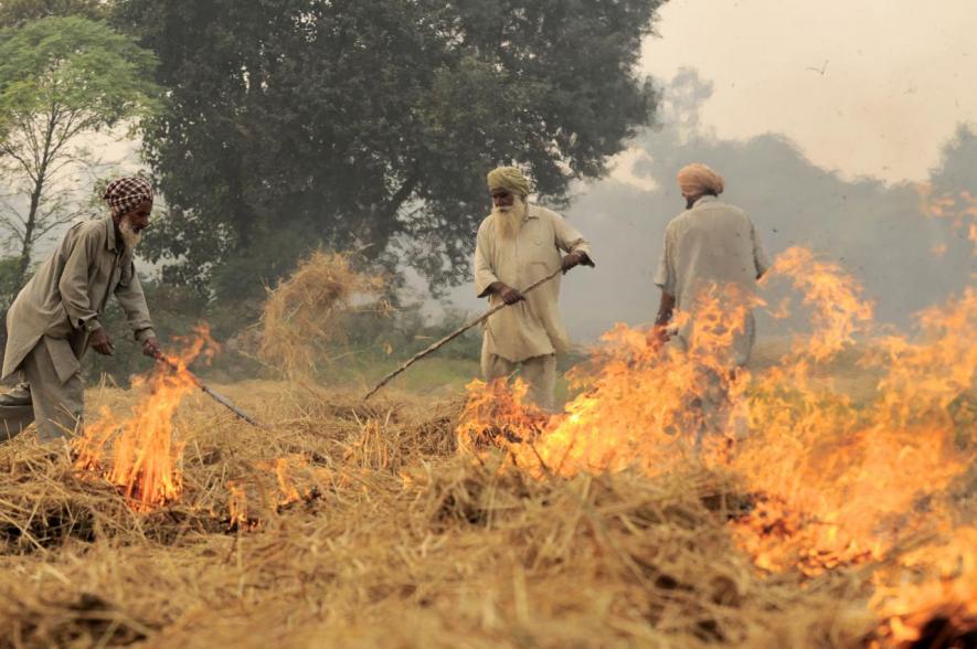 9 UP Farmers Warned of Freeze on PM-Kisan Samman Nidhi for Burning Stubble