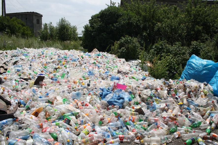 Plastic waste found chemically bonded to rocks in China
