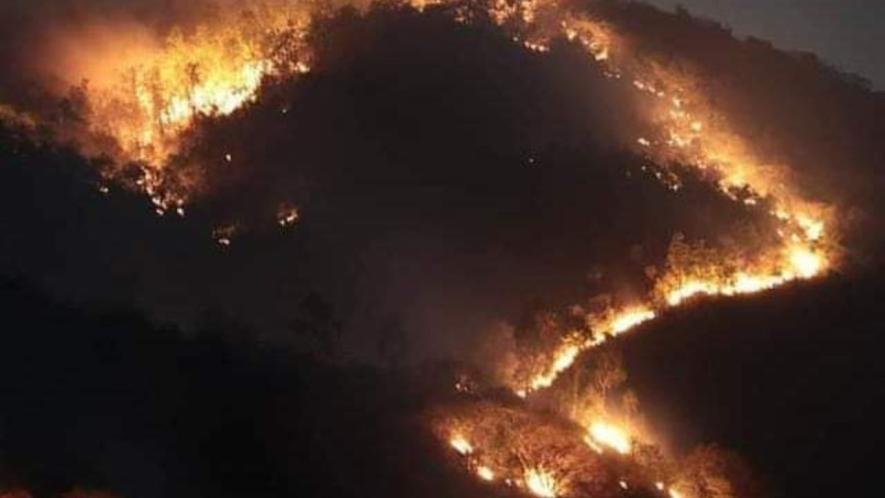 Locals indicate a pattern in the fires across Jangal Mahal that are lead to trees disappearing, and large-scale destruction of various animal species.