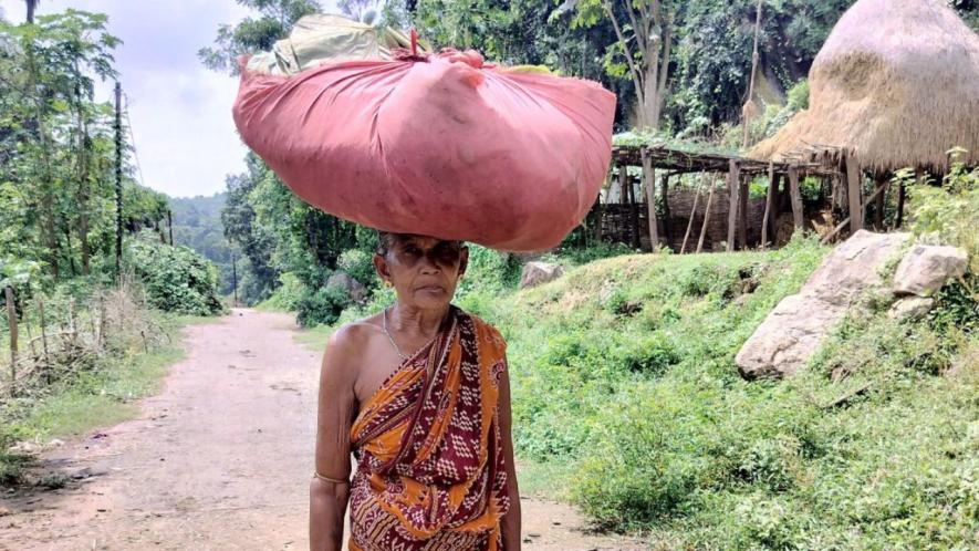 Women pluck sal leaves from the forest and bring them back (Photo - Prativa Ghosh, 101Reporters)